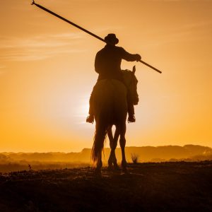 Gardian et lever de soleil en Camargue