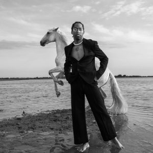 Élégance équestre