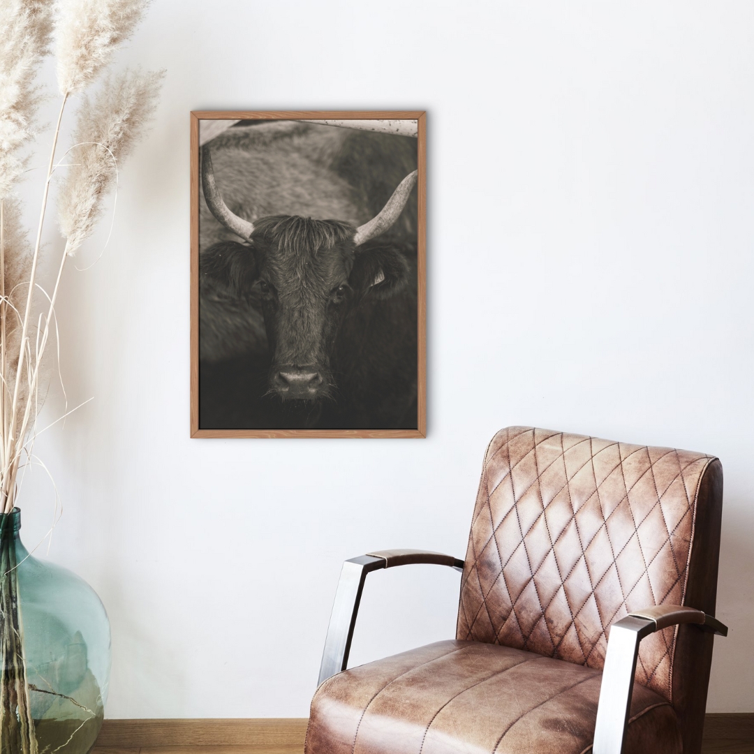 Muse de Camargue 2 – Image 2