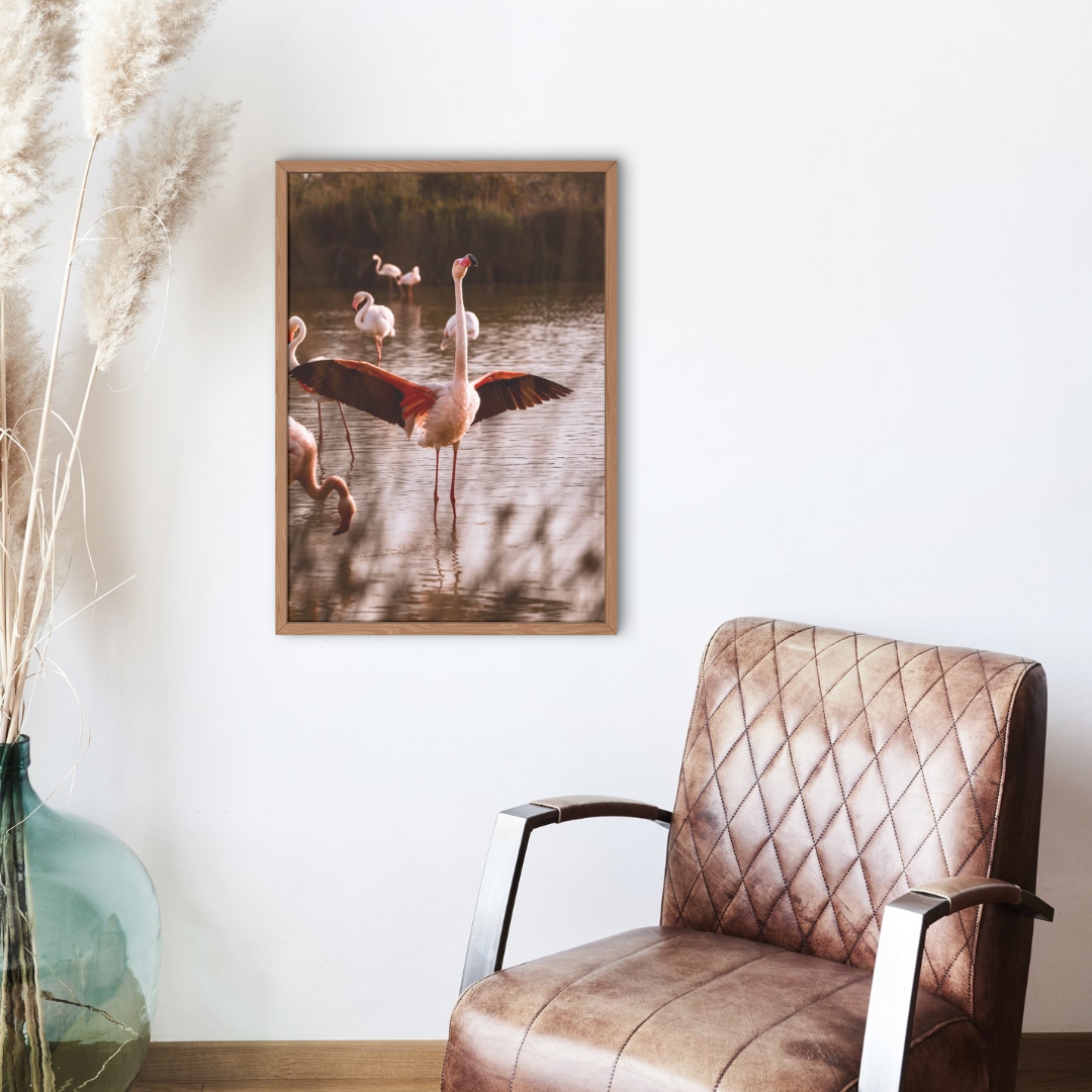 Muse de Camargue 3 – Image 2