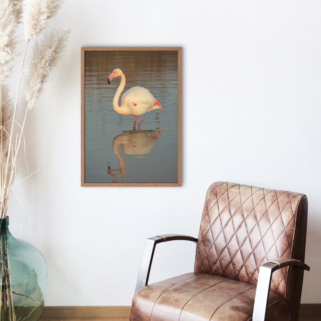 Flamant rose – Image 2