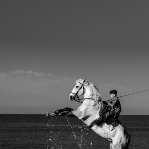 Transmission & Passion