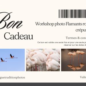 Bon cadeau workshop photo flamants roses