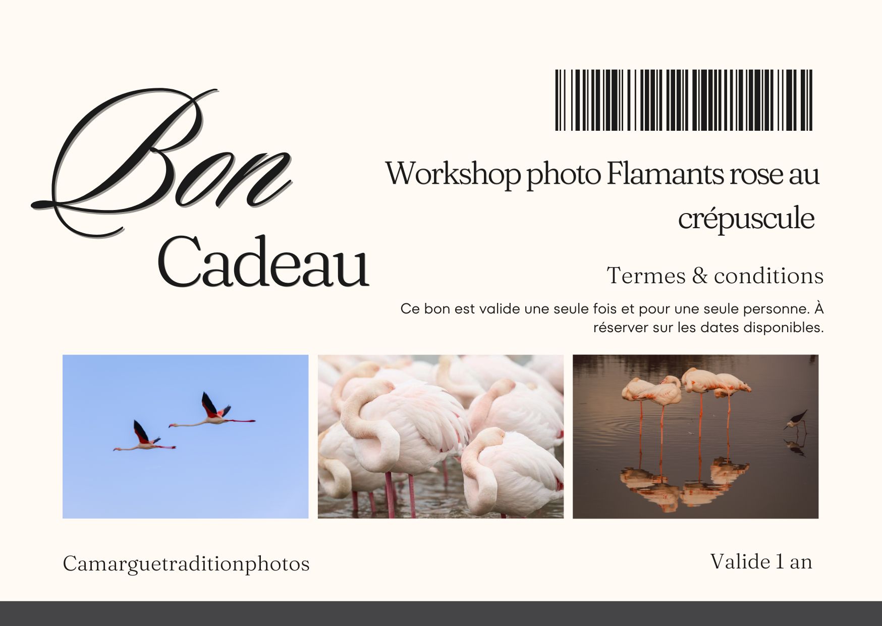 Bon cadeau workshop photo flamants roses