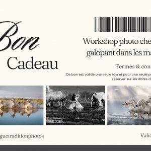 Bon cadeau workshop photo chevaux en liberté dans les marais