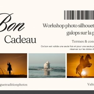Bon cadeau workshop photo silhouettes & galops sur la plage