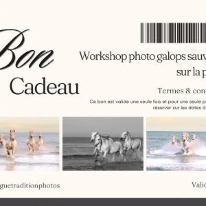 Bon cadeau workshop galops sauvages sur la plage