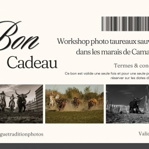 Bon cadeau workshop taureaux sauvages dans les marais